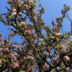 c026712b-11e3-4cdb-a47e-81ca125b66df