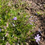 c700c88f-463d-4845-923b-6622f0f3caf9