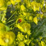 cceb8aae-ae2a-4b34-98e5-23ab75801e91